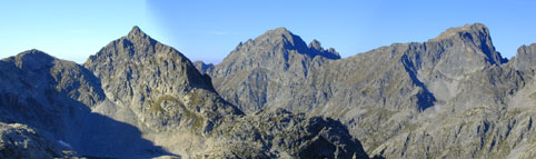 view of the tops